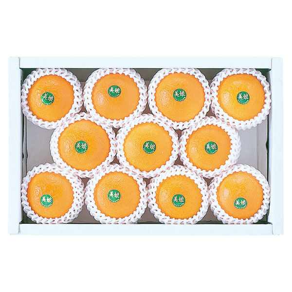 nzY (݂) (MK-50)y͂ԁF12{`z